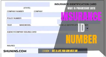 Progressive Auto Insurance: ID Numbers Explained