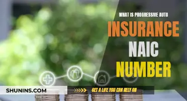 Progressive Auto Insurance: NAIC Number and Its Benefits