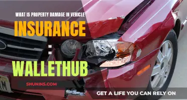 Vehicle Insurance: Property Damage Explained