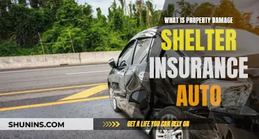 Understanding Auto Insurance: Property Damage and Shelter Coverage