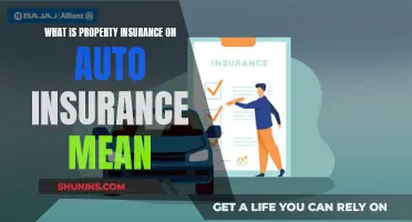 Understanding Auto Insurance: Property Coverage Explained