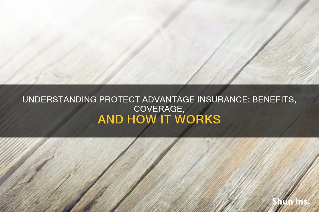 what is protect advantage insurance