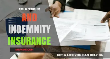 Understanding Protection and Indemnity Insurance: Coverage, Benefits, and Importance