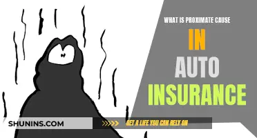 Proximate Cause: Understanding Auto Insurance Claims and Requirements