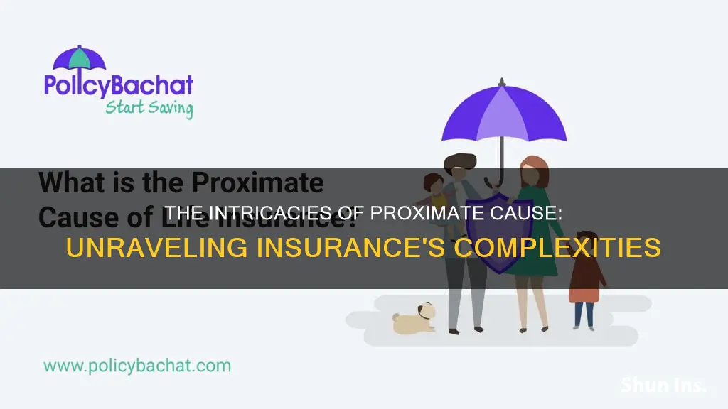 what is proximate cause in insurance terms