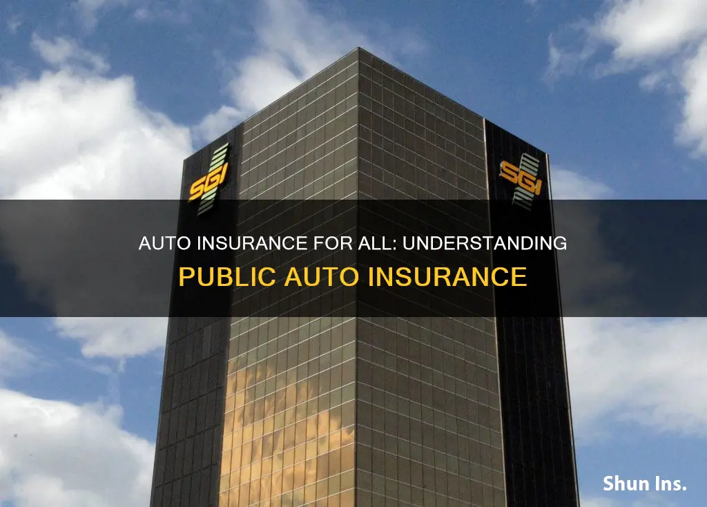 what is public auto insurance