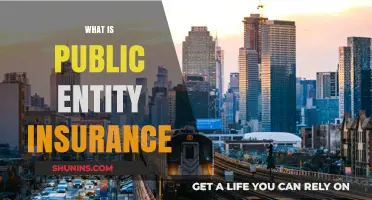 Understanding Public Entity Insurance: Coverage, Benefits, and Importance Explained