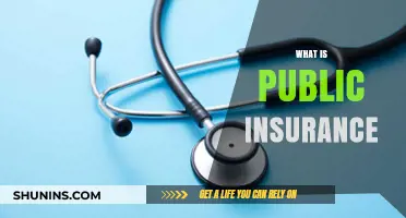 Understanding Public Insurance: Coverage, Benefits, and How It Works