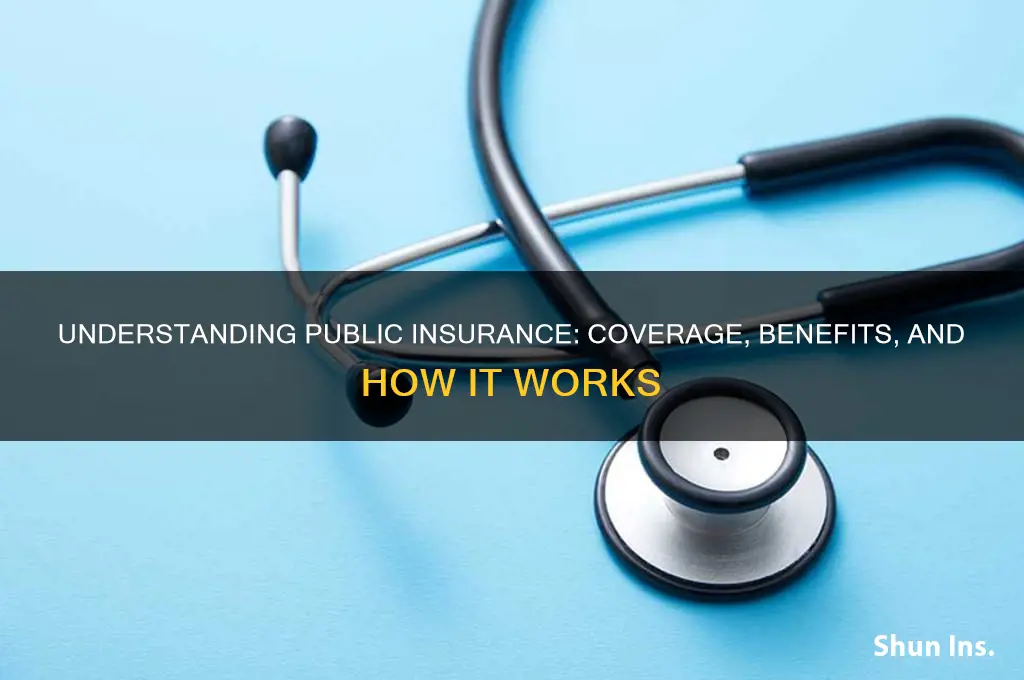 what is public insurance