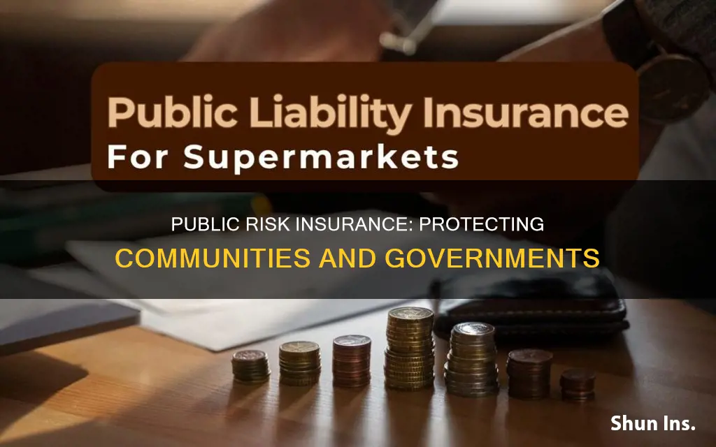 what is public risk insurance