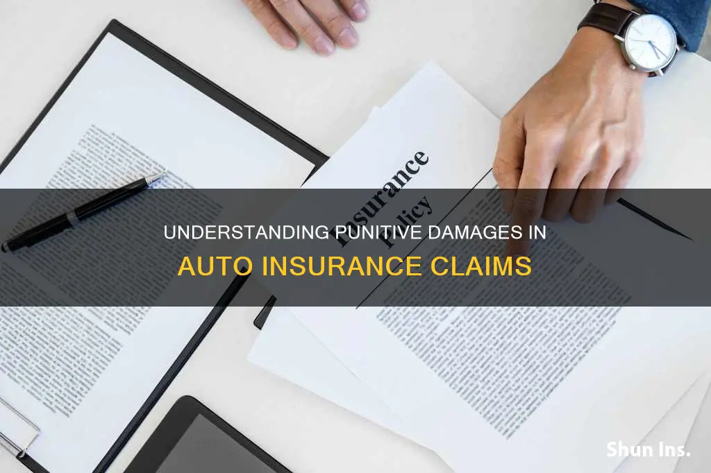 what is punitive damages in auto insurance