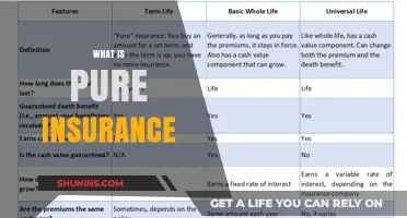 Understanding Pure Insurance: A Comprehensive Guide to Its Basics and Benefits