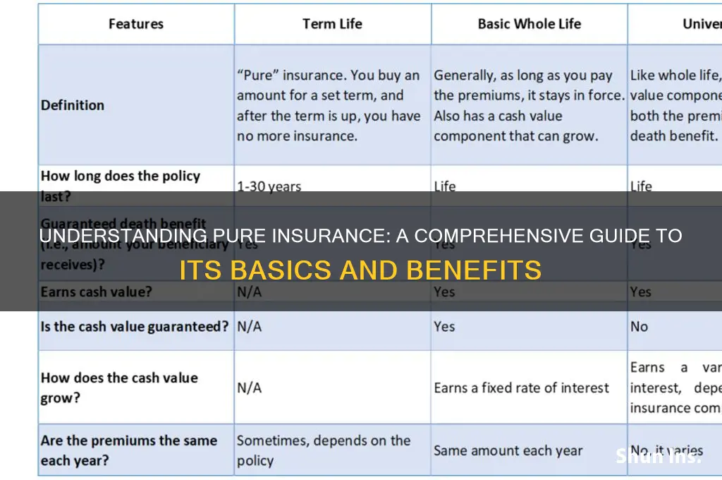 what is pure insurance