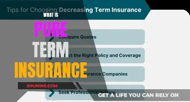 Understanding Pure Term Insurance: Unraveling the Basics of This Essential Financial Safety Net