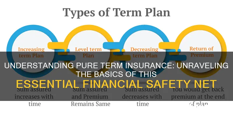 what is pure term insurance