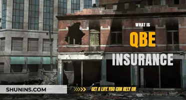 Understanding QBE Insurance: Coverage, Benefits, and How It Works