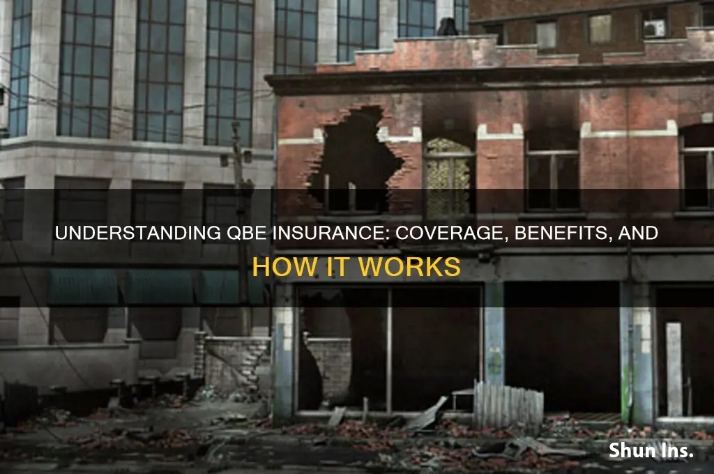 what is qbe insurance
