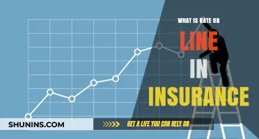Understanding Insurance Rate: Online vs. Offline