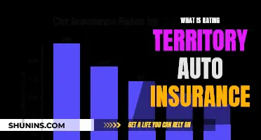 Understanding Auto Insurance: Rating and Territory Factors