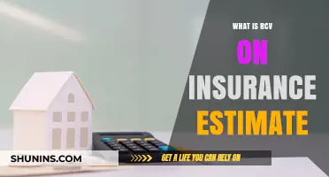 Understanding RCV on Insurance Estimates: A Comprehensive Guide for Policyholders