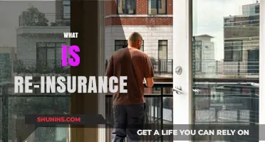 Understanding Re-Insurance: How It Works and Why It Matters
