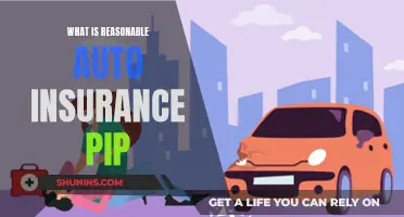 Understanding Auto Insurance: What is PIP and Why it Matters