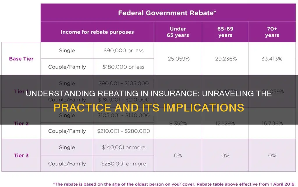 what is rebating in insurance terms