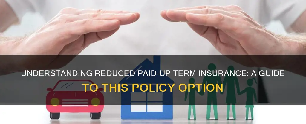 what is reduced paid up term insurance