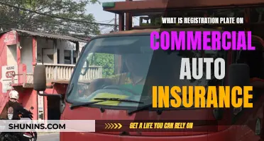 Understanding Commercial Auto Insurance Registration Plate Requirements