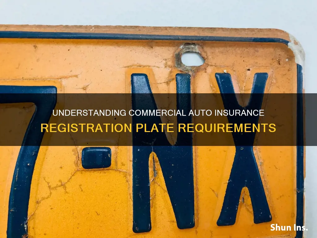 what is registration plate on commercial auto insurance