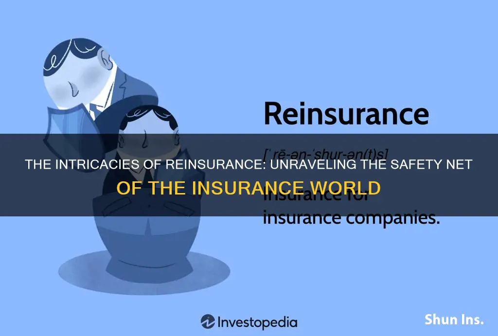 what is reinsurance in insurance terms