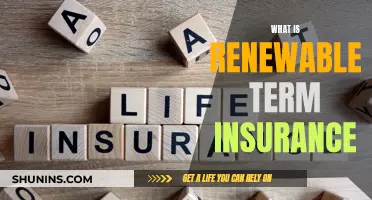 Understanding Renewable Term Insurance: Unraveling the Benefits and Mechanics