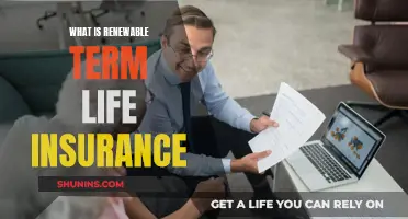 Term Life Insurance: Renewable Option Explained