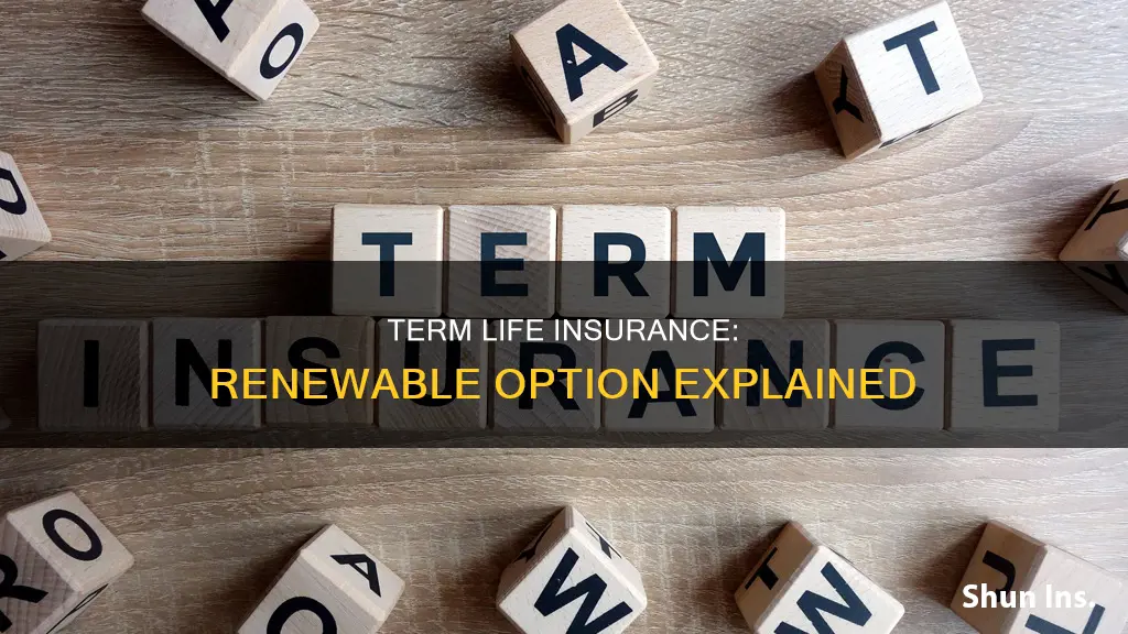 what is renewable term life insurance