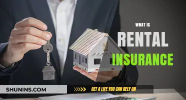 Rental Insurance: Protect Your Home and Peace of Mind