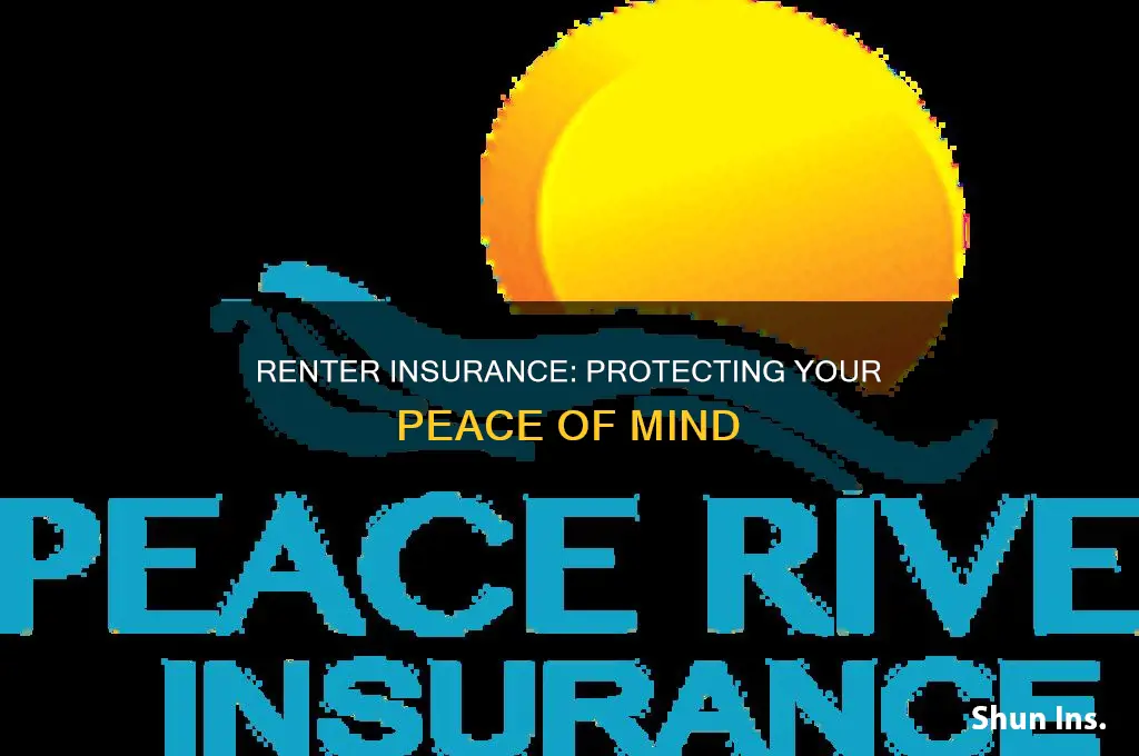 what is renter insurance