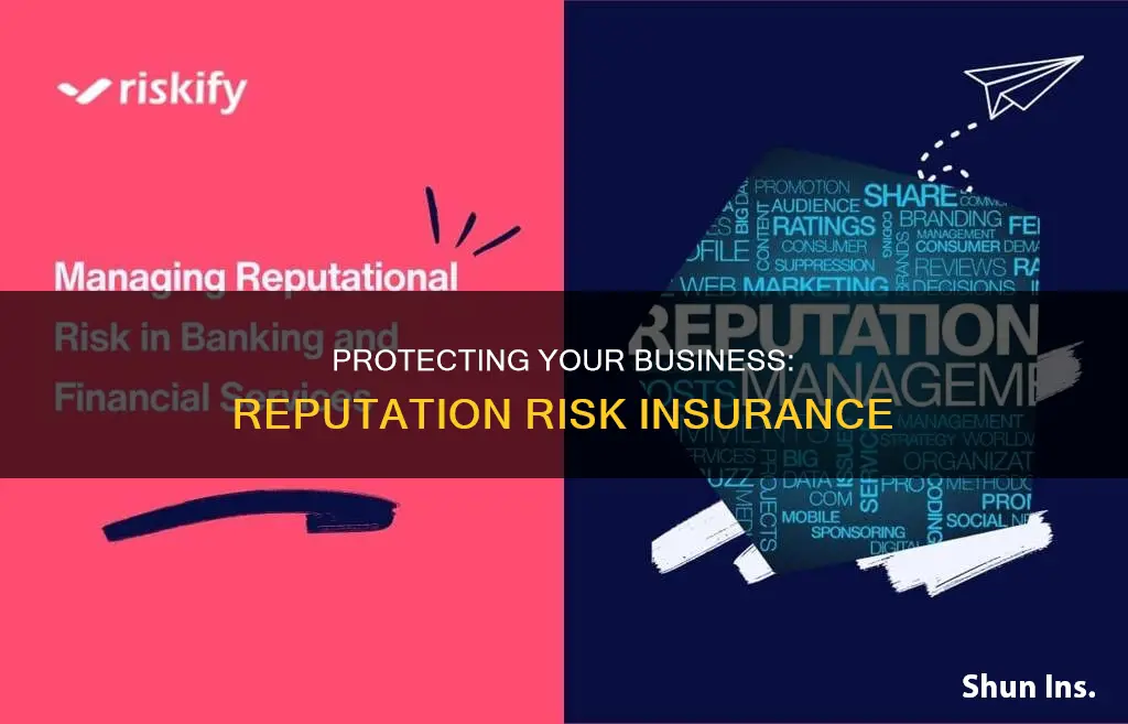 what is reputation risk insurance