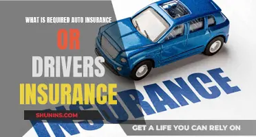 Auto Insurance Basics: What Every Driver Needs to Know