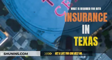 Auto Insurance in Texas: What You Need to Know