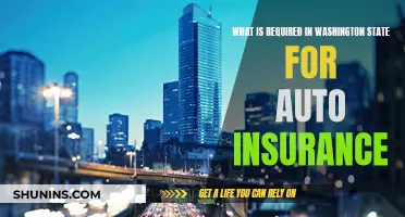 Washington Auto Insurance: What You Need to Know