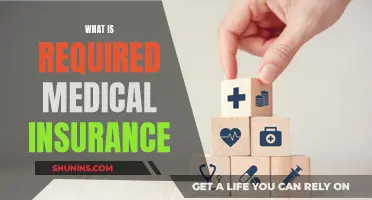 Medical Insurance: What You Need to Know