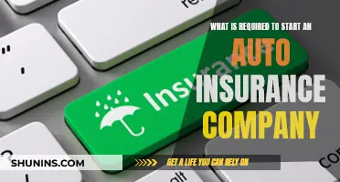 Key Steps to Launching Your Own Auto Insurance Company