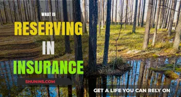 Understanding Insurance Reserving: Key Concepts and Importance Explained