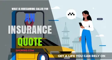 Ridesharing Insurance: What You Need to Know