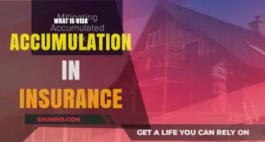 Understanding Risk Accumulation in Insurance