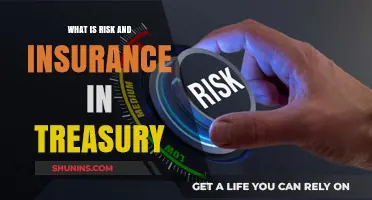 Understanding Treasury Risks and Insurance Strategies