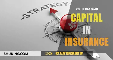 Understanding Risk-Based Capital in the Insurance Industry
