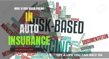 Risk-Based Pricing: How Auto Insurers Calculate Your Premium