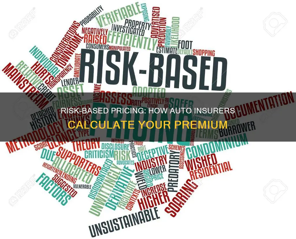 what is risk based pricing in auto insurance