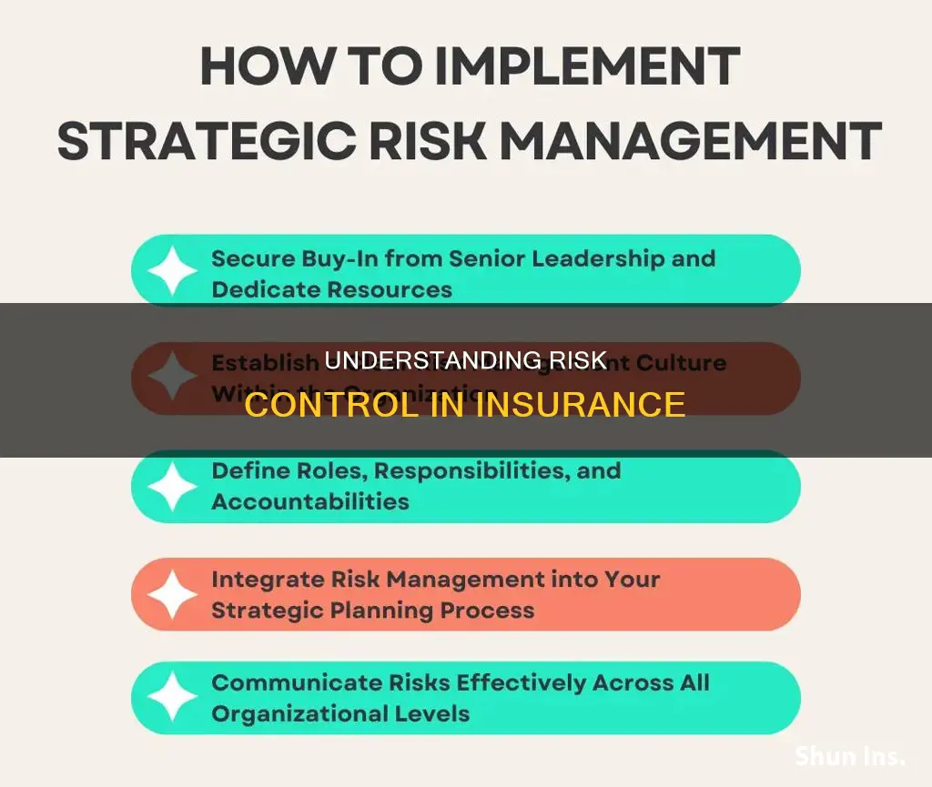 what is risk control in insurance